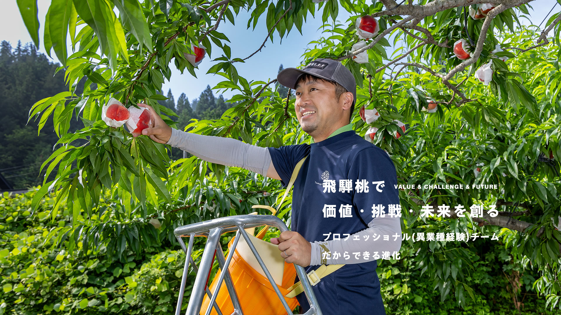 合同会社つむぎ果樹園 1