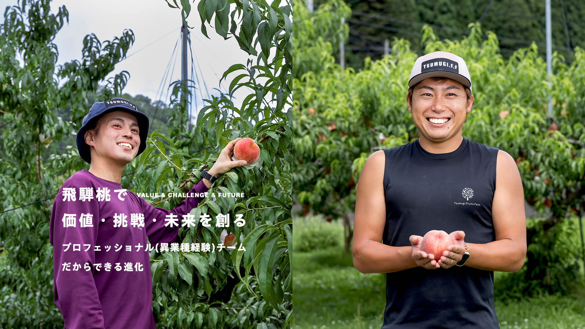 合同会社つむぎ果樹園 2