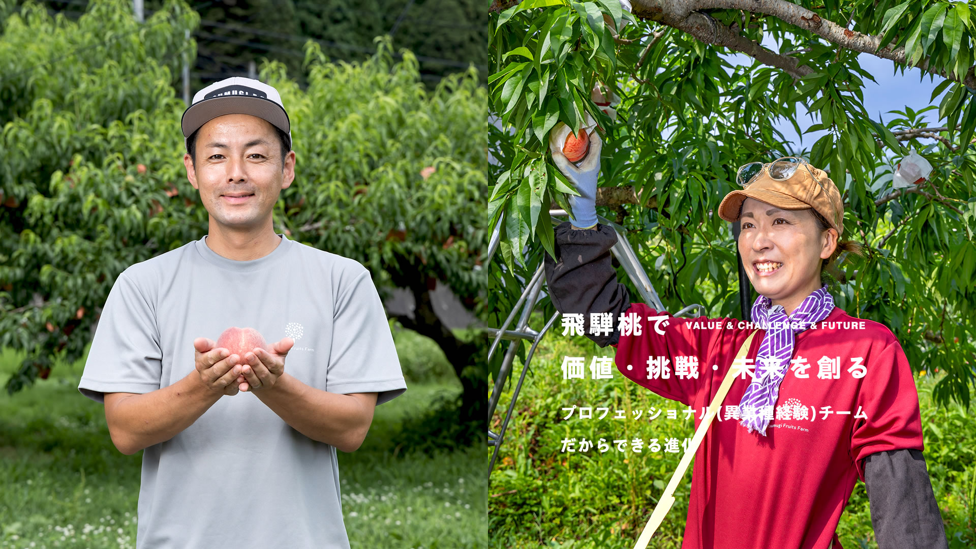 合同会社つむぎ果樹園 3