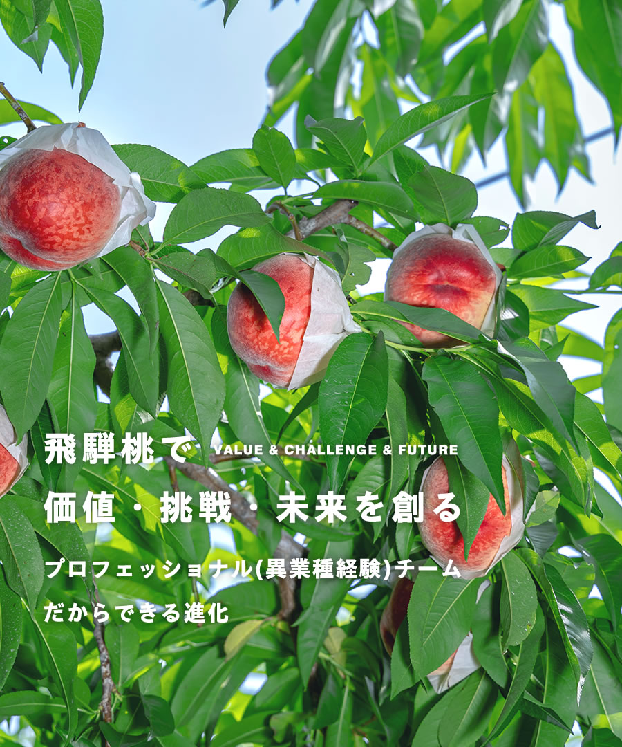 合同会社つむぎ果樹園 4