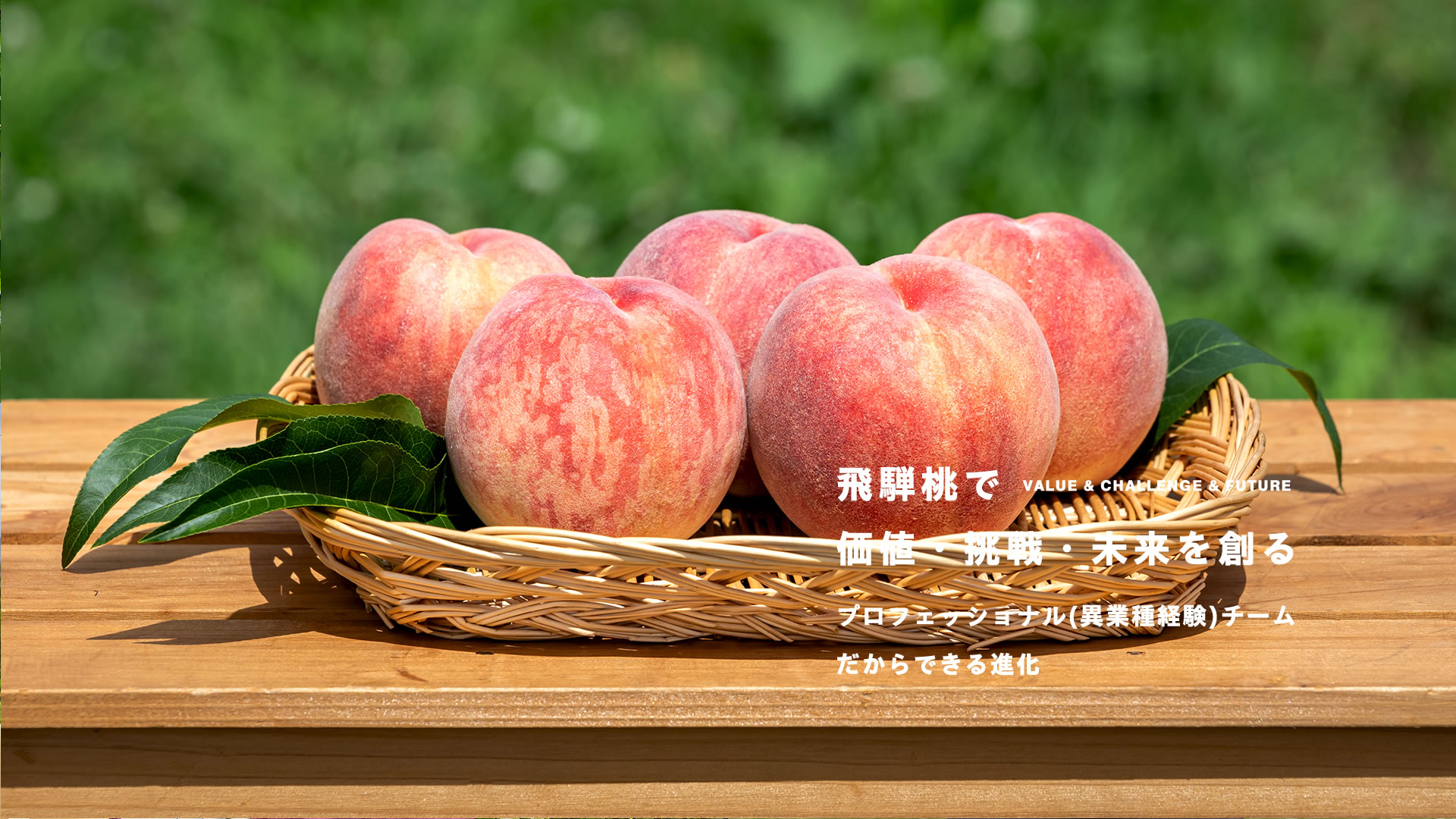 合同会社つむぎ果樹園 5